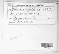 Image Associated With the Occurence